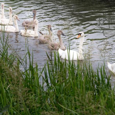 L'Attrap'Reves : Le Confort Hotelier, La Convivialite En Plus Ergersheim Exteriör bild